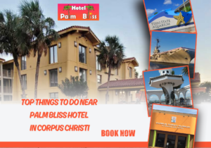 Things To Do Near Corpus Christi